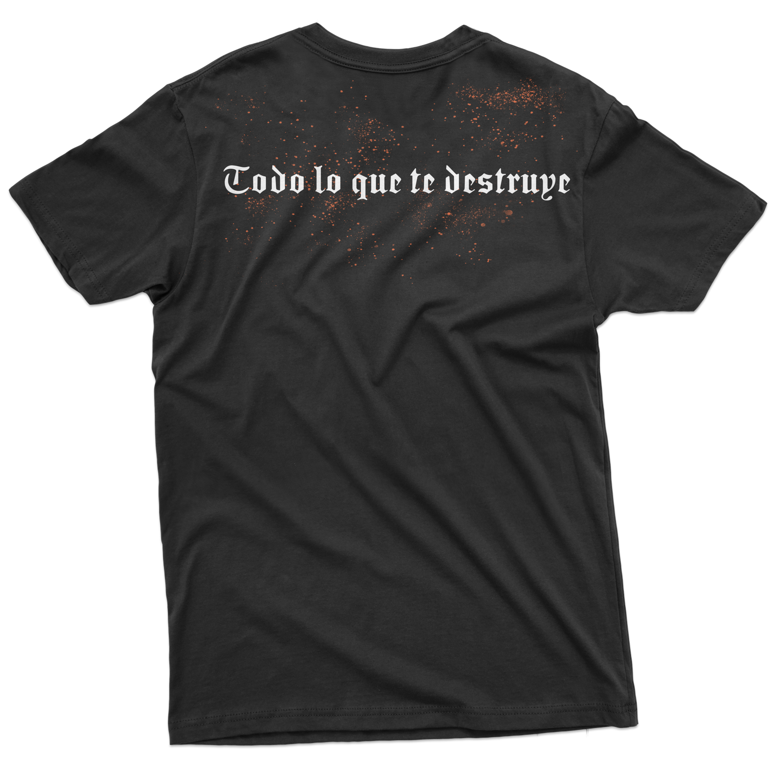 Destruye - Imagen 2